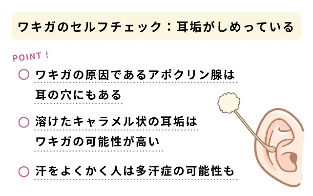 ワキガチェック_耳垢が湿っている