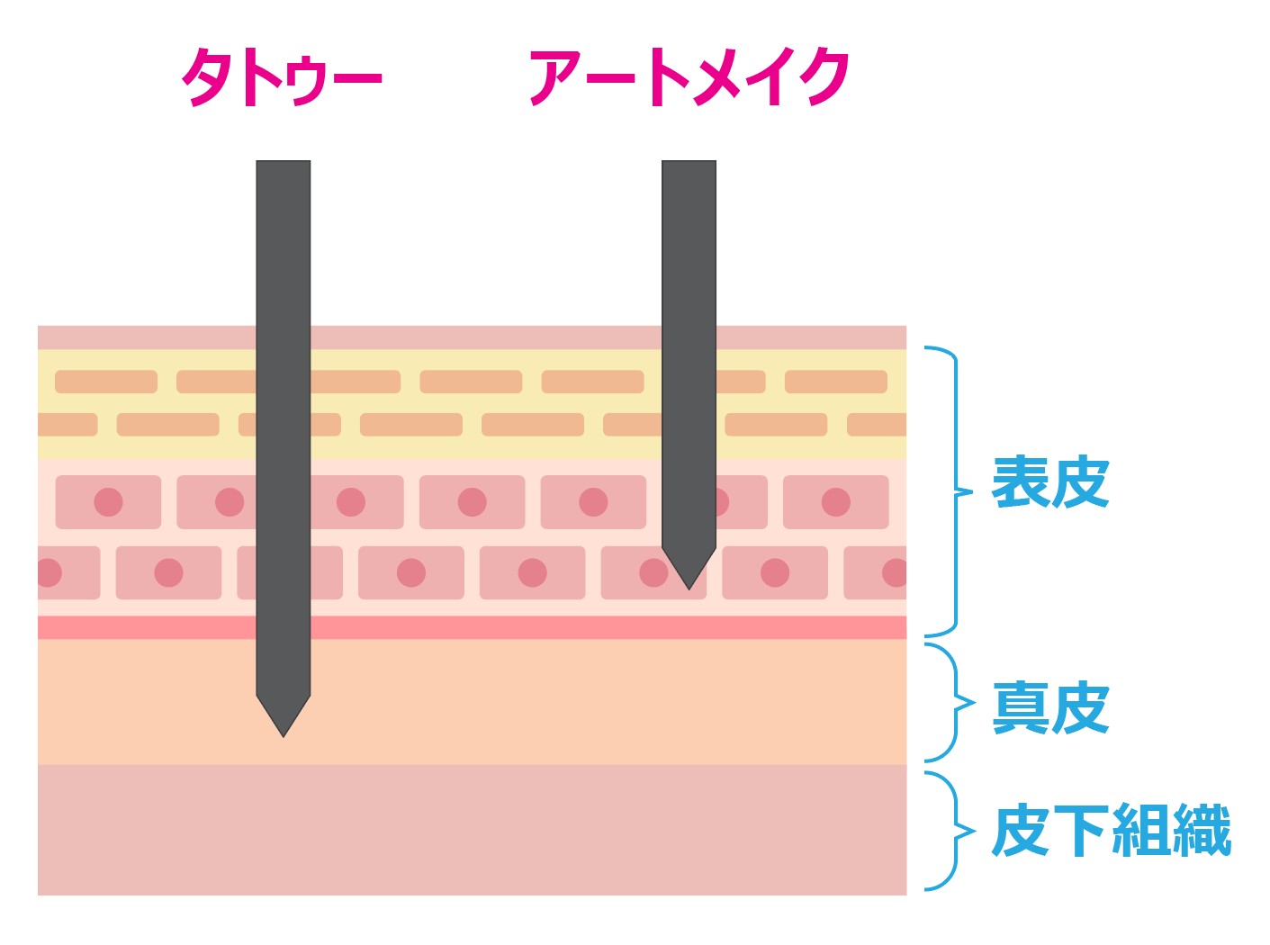 アートメイクと入れ墨・タトゥーの違い